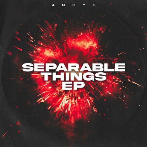4ngys-Separable Things EP