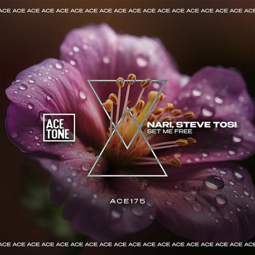 Nari, Steve Tosi-Set Me Free