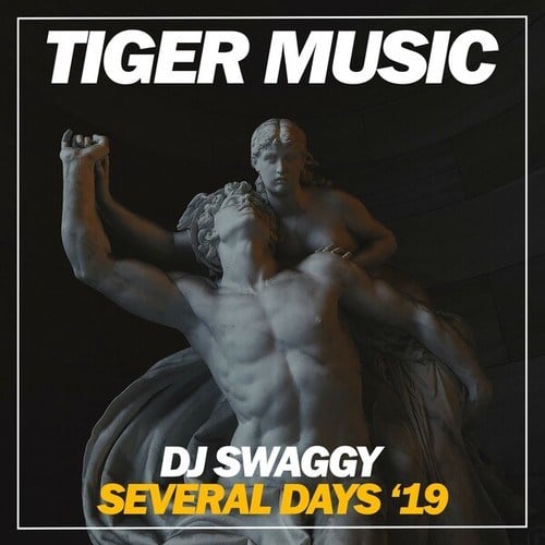 DJ Swaggy-Several Days '19