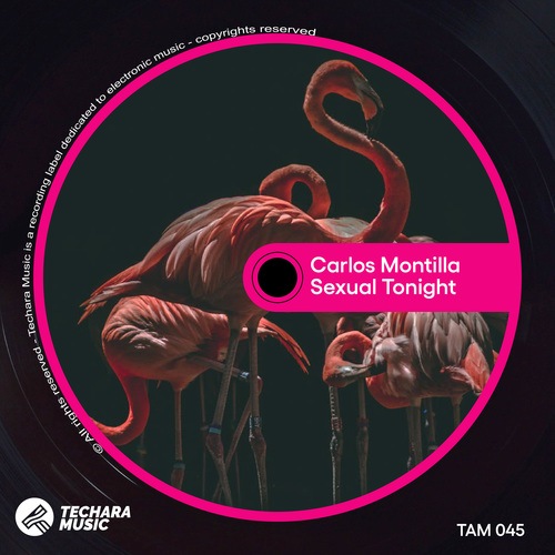 Carlos Montilla-Sexual Tonight
