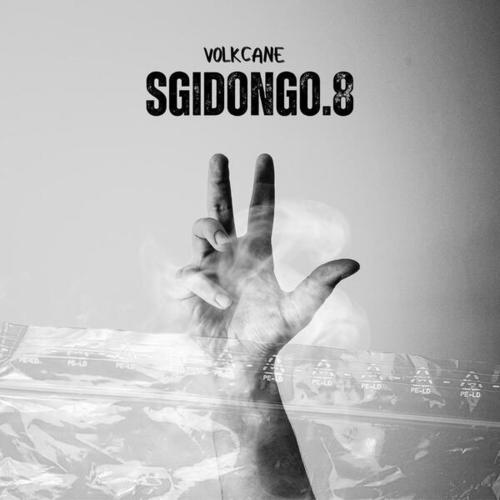 SGIDONGO 8