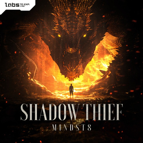 Mindst8-Shadow Thief