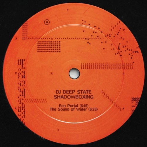 DJ Deep State-Shadowboxing