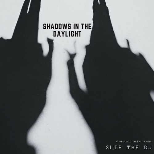 Slip The DJ-Shadows In The Daylight