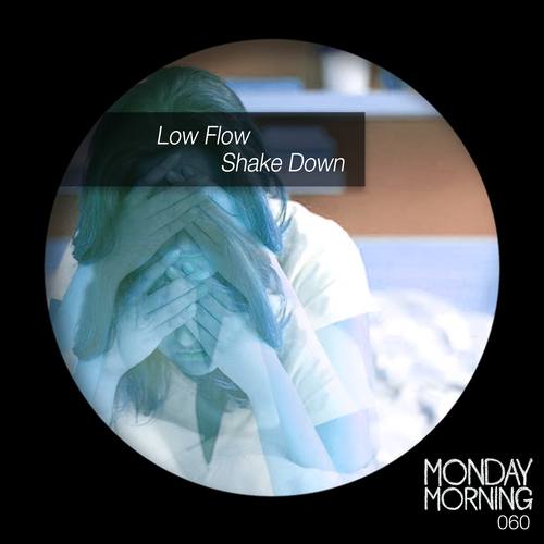 Low Flow-Shake Down