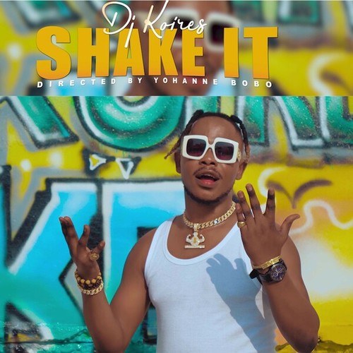 DJ Koires-Shake It