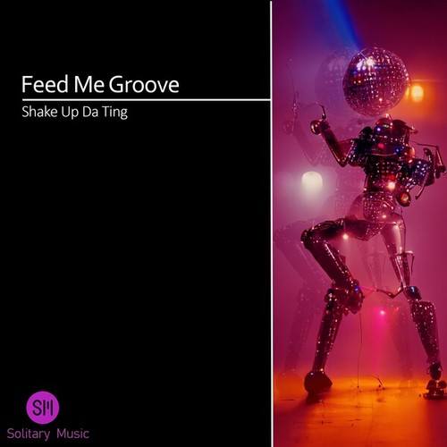 Feed Me Groove-Shake Up Da Ting