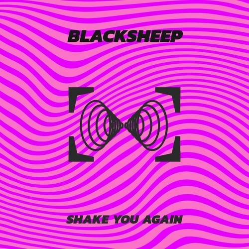 BlackSheep-Shake You Again