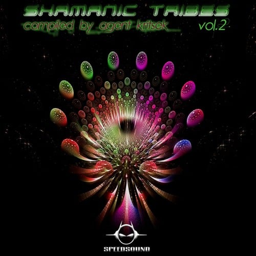 Various Artists-Shamanic Tribes Vol.2