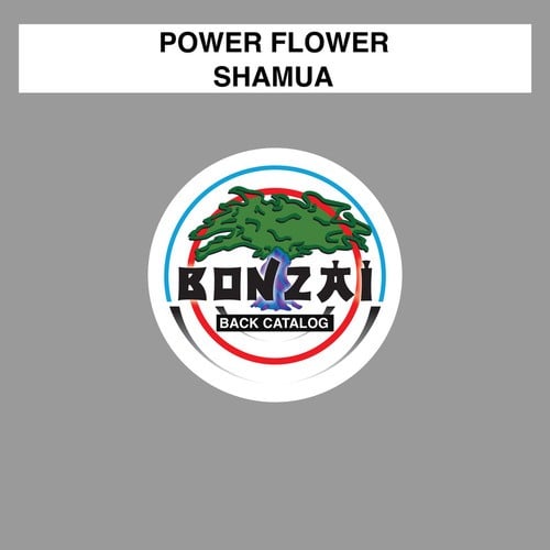 Power Flower-Shamua