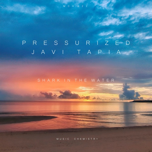 Pressurized, Javi Tapia-Shark in the Water