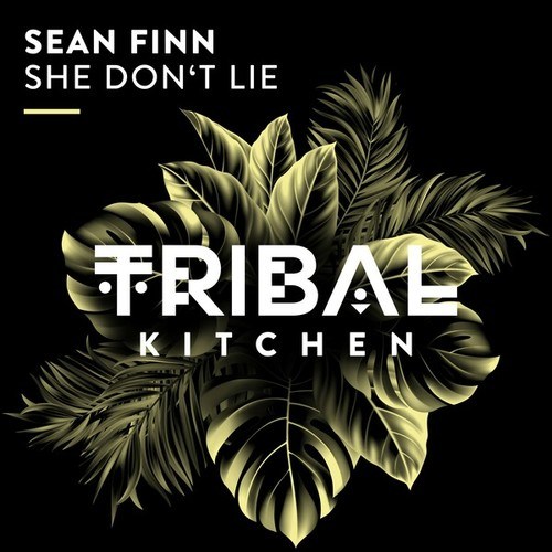 Sean Finn-She Don't Lie