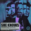 She Knows (with Akon) [Jaxx & Vega Remix]