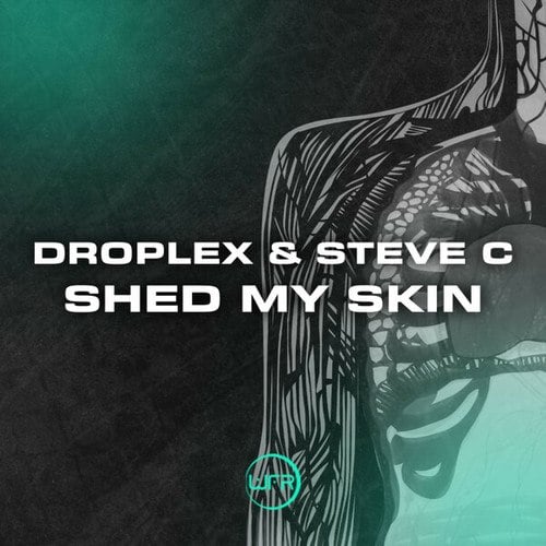 Steve C, Droplex-Shed My Skin