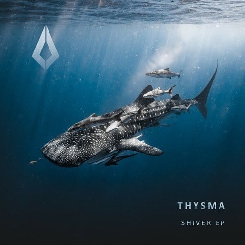 Thysma-Shiver