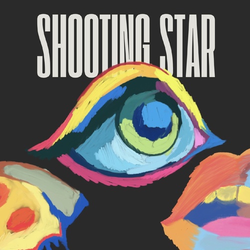 Forensics Of House-Shooting Star
