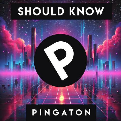 Pingaton-Should Know