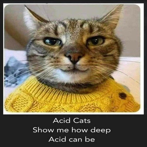 Acid Cats-Show Me How Deep Acid Can Be