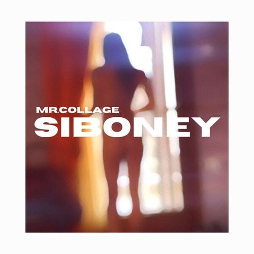 Mr. Collage-Siboney