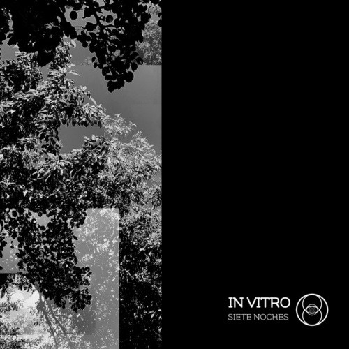 In Vitro-Siete Noches