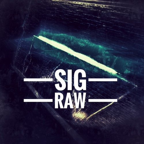 SiG RAw-sig raw - the box