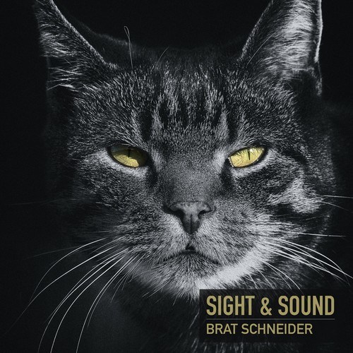 Brat Schneider-Sight & Sound (Club Mix)