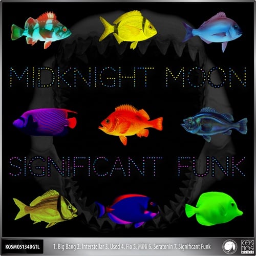 Midknight Moon-Significant Funk EP
