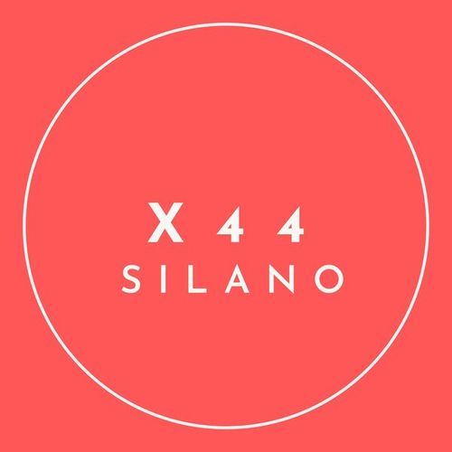 X44-Silano