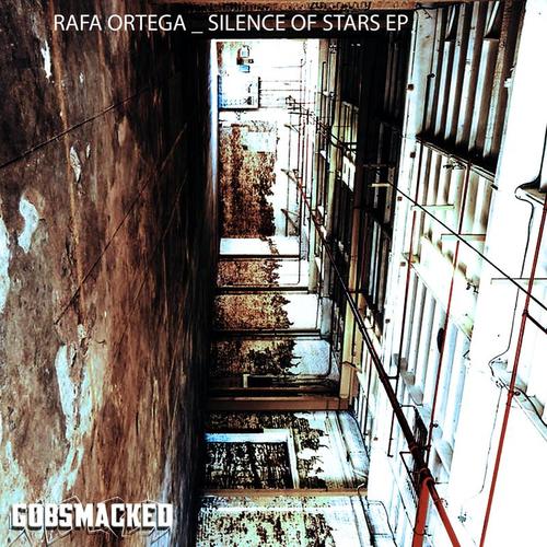 Rafa Ortega, FLÆN, Millhouse, Diarmaid O Meara-Silence of Stars