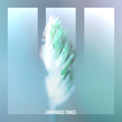 Silent Echoes - Passenger 10