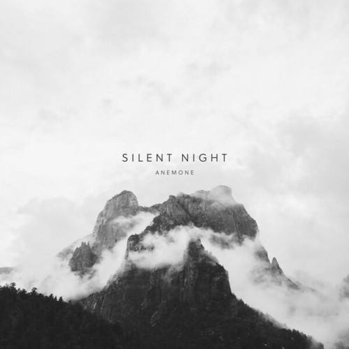 Anemone-Silent Night
