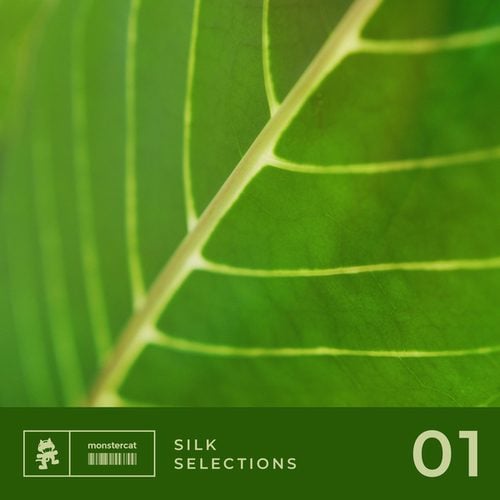 Silk Selections 01