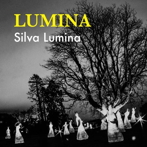 Silva Lumina
