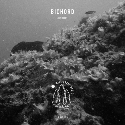 Bichord-Simbiosi