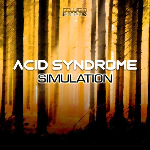 Acid Syndrome-Simulation