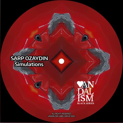 Sarp Ozaydin-Simulations