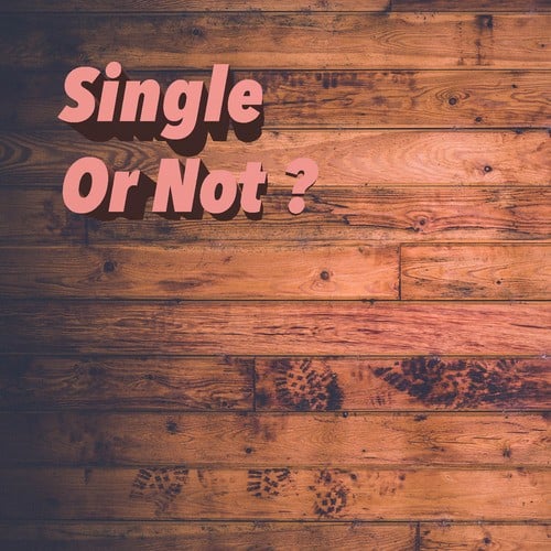 Various Artists-Single Or Not?