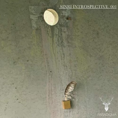 Various Artists-Sinri Introspective 001