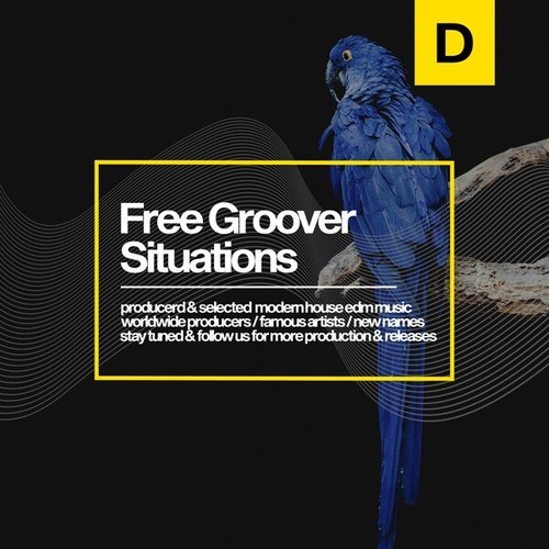 Free Groover-Situations
