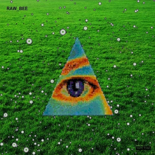 RAW_BEE-Six