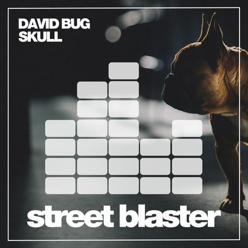 David Bug-Skull
