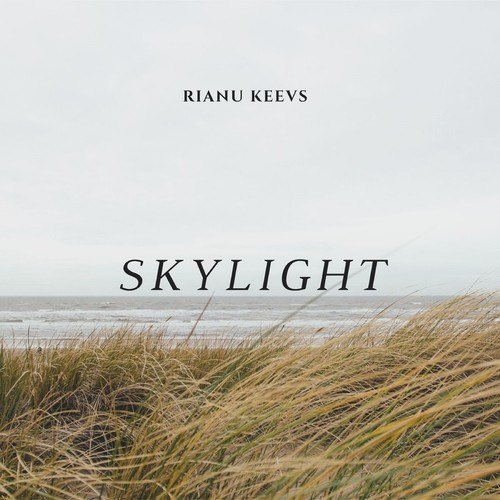Rianu Keevs-Skylight