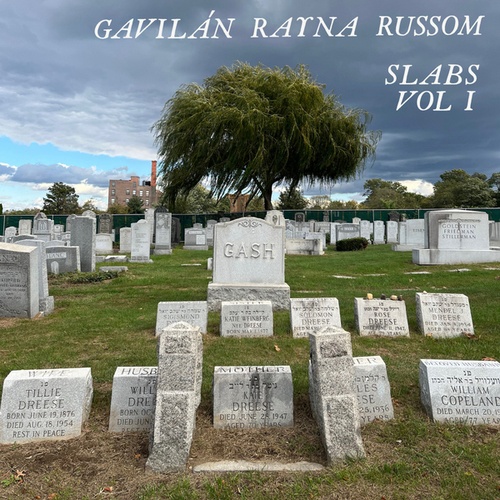 Gavilán Rayna Russom-Slabs, Vol. I
