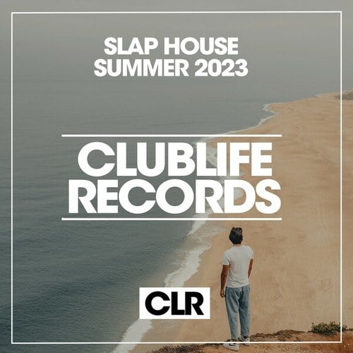 Various Artists-Slap House Summer 2023