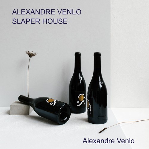 Alexandre Venlo-Slaper House