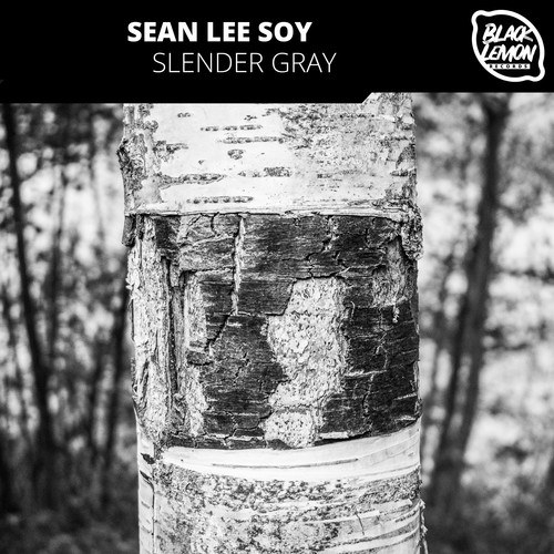 Sean Lee Soy-Slender Gray