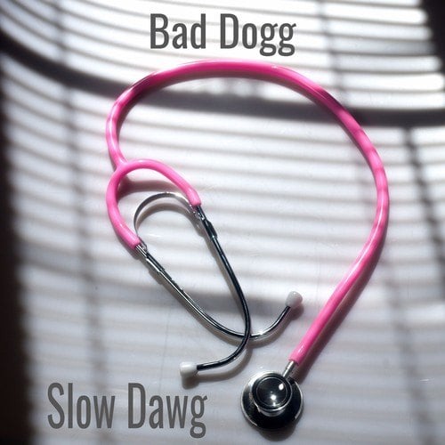 Bad Dogg, JohJoh Music, Zio Giuliano, Mitch, DG Beats, Fizzi, Oan, Mariah Tarrey, Movélou, Ratton (GCB-maniac)-Slow Dawg