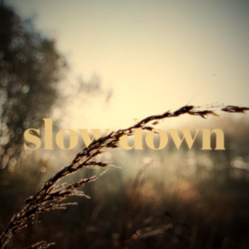Intomuffins-Slow Down