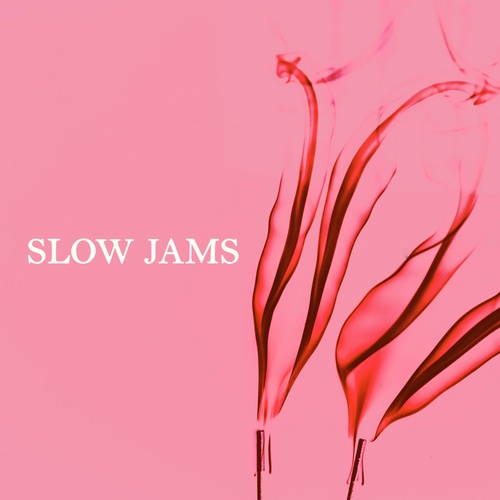 Various Artists-Slow Jams