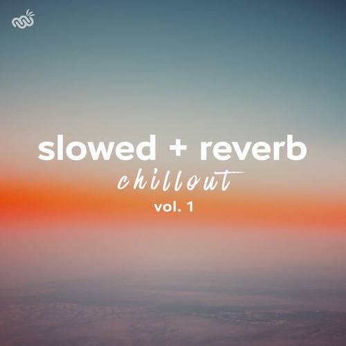 Slowed + Reverb Chillout, Vol. 1